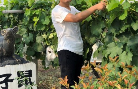 姜東明:用“小葡萄”串起鄉(xiāng)村振興的“大夢(mèng)想”