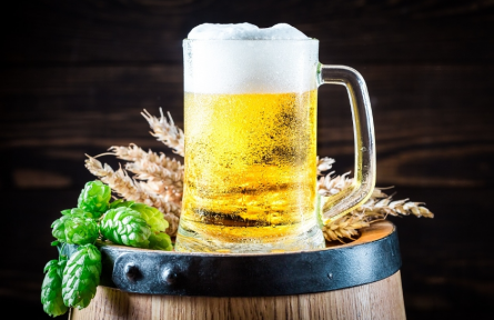 地球再熱下去，我們可能連啤酒也喝不到了？