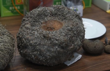 廣東省水頭鎮(zhèn):新“五谷”激活鄉(xiāng)村振興新動(dòng)能