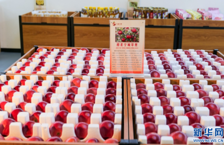 打通供應鏈 寧城蘋果擺上城里人餐桌