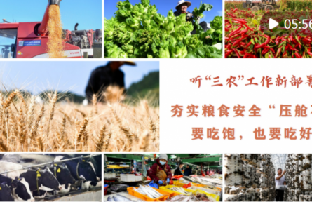 聽“三農(nóng)”工作新部署｜夯實糧食安全“壓艙石”：要吃飽，也要吃好
