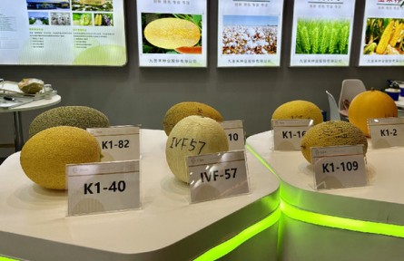 第三屆三亞國際種業(yè)科技博覽會：新品種、新技術、新設備展現(xiàn)種業(yè)科技新成果
