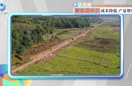 “窄田”變“寬田”，湖南湘潭搶建高標準農(nóng)田