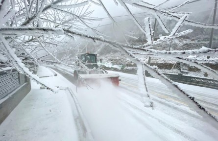 “凍到發(fā)紫”！今年首場寒潮“速遞”南方