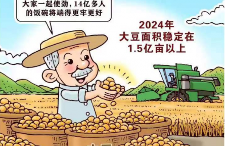 新華鮮報丨中國穩(wěn)糧新看點！ “金豆豆”1.5億畝以上