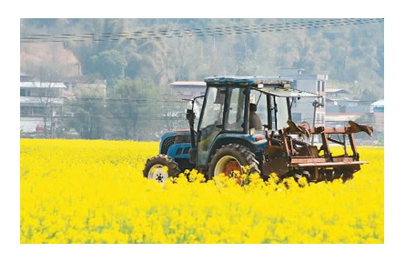 一號(hào)文件，繪就鄉(xiāng)村全面振興“路線圖”