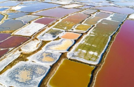 以鹽為媒，群方“咸”遂：鹽為什么被稱為“鹽巴”？