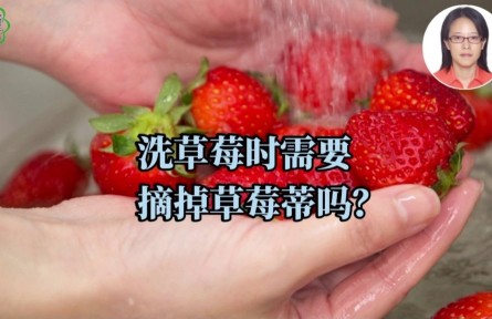 洗草莓時需要摘草莓蒂嗎？