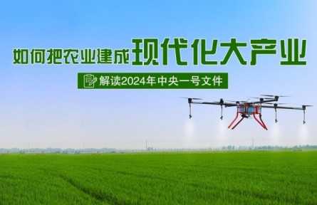 專家快問快答：如何把農(nóng)業(yè)建成現(xiàn)代化大產(chǎn)業(yè)？