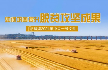 專家快問快答：如何鞏固提升脫貧攻堅成果？