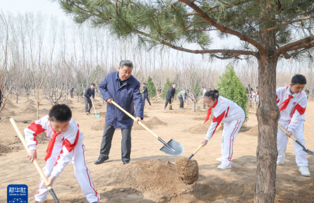 習(xí)近平在參加首都義務(wù)植樹活動(dòng)時(shí)強(qiáng)調(diào)  全民植樹增綠 共建美麗中國(guó)