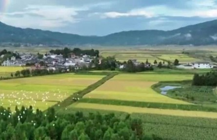 好生態(tài)如何變好產(chǎn)品？好產(chǎn)品怎么賣出好價錢？