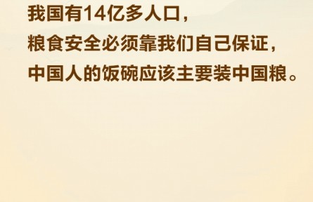 習(xí)言道|讓農(nóng)民用最好的技術(shù)種出最好的糧食