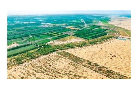 看！綠意在荒漠戈壁上鋪展