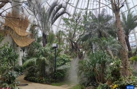 成都世園會：“神奇植物”在哪里？