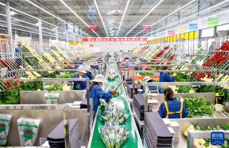 堅(jiān)持推進(jìn)新型城鎮(zhèn)化和鄉(xiāng)村全面振興有機(jī)結(jié)合——落實(shí)新時(shí)代推動(dòng)西部大開發(fā)座談會(huì)精神系列綜述之五