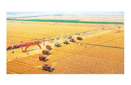 糧食產后“跑冒滴漏”少了 節(jié)糧減損成效明顯