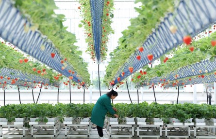 管“飽”也管“好”，大食物觀有什么講究？