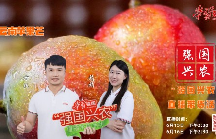 盛夏炎炎，鮮果相伴，“強國興農”直播帶貨活動繼續(xù)與您相約