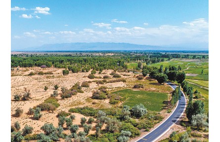 推進(jìn)科學(xué)化、規(guī)?；紊场覈?guó)十余年治理沙化土地超三億畝