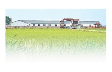 在吉林，105家科技小院正為鄉(xiāng)村振興助力——走進(jìn)黑土地深處