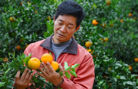 駐村最后一天，王應(yīng)生回頭“三看”