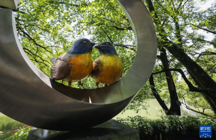 護鳥興旅，端穩(wěn)“生態(tài)碗”