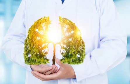 科普|生命大科學(xué)：從分子到細胞的探索之旅