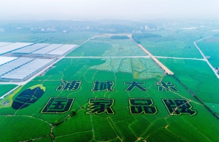 福建浦城：科技賦能，大米產(chǎn)業(yè)邁進數(shù)字化時代