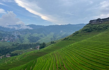 不挖金也能淘到“真金”，大寨村用“一田生五金”