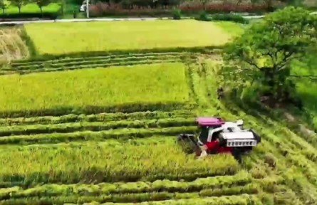 湖北：“慧”種“慧”收 “智”育“智”銷(xiāo)