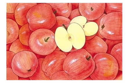 秋季蘋果正當時 聽說熟著吃好處更多？