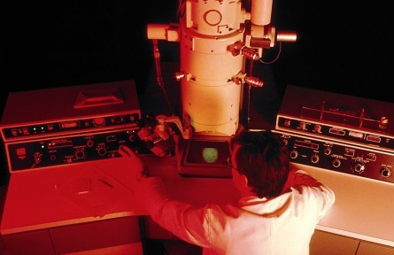 科技名詞|透射電子顯微鏡 transmission electron microscope；TEM