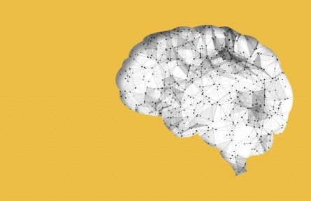 辟謠|腦袋大的孩子，一定聰明？