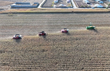 內蒙古開魯縣：科學收儲 確保玉米顆粒歸倉