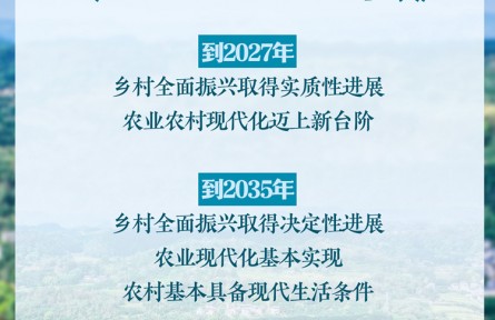 中共中央、國務(wù)院印發(fā)《鄉(xiāng)村全面振興規(guī)劃（2024—2027年）》新華社快報