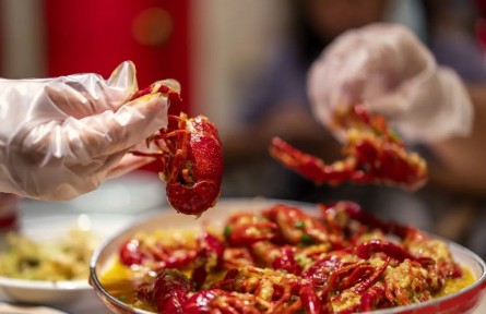 辟謠|這類保鮮膜使用不當，或有毒有害！如何挑選？