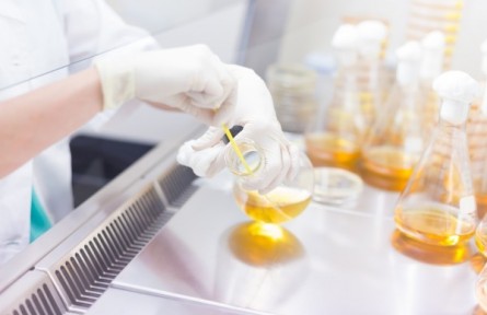 在生命科學研究中，人工智能發(fā)揮哪些作用？
