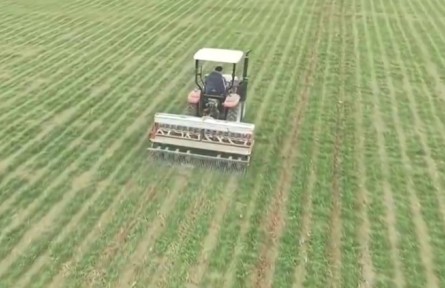 我國春管春耕由南向北陸續(xù)展開