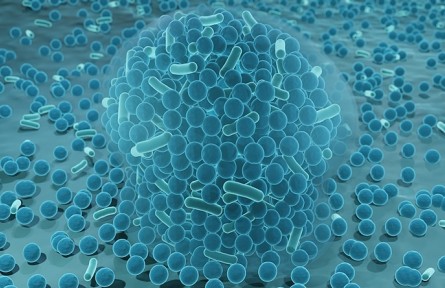 科技名詞|生物膜 biological membrane；biomembrane