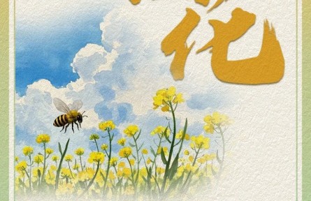油菜花哪里賞？快收下這份油菜花賞花氣象指南！