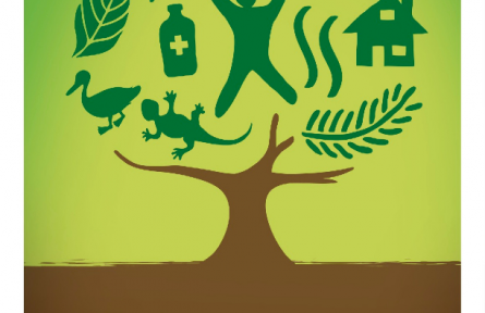 國(guó)際森林日|守護(hù)森林，守護(hù)生命之源