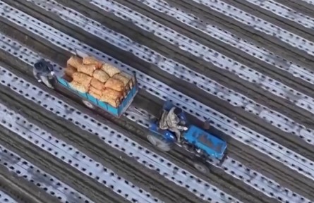 新疆瑪納斯：6000畝土豆開播 機(jī)械化種植節(jié)本增效