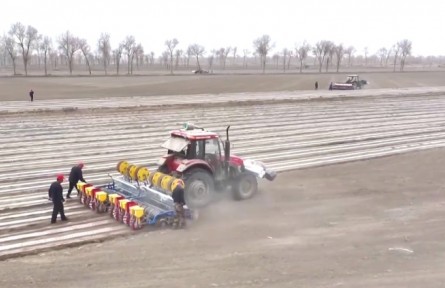 新疆兵團各師團：不負好春光 春播正當時