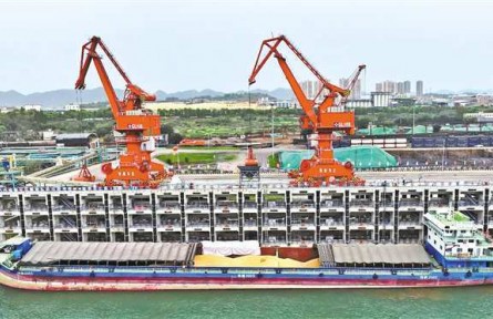 重慶最大糧油碼頭開港 年吞吐能力360萬噸