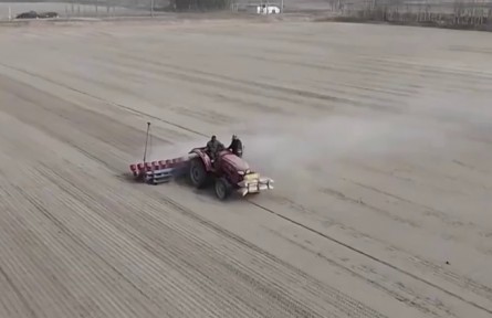 新疆昆玉：沙漠水稻開播耕種 改良土質(zhì)提高經(jīng)濟(jì)效益