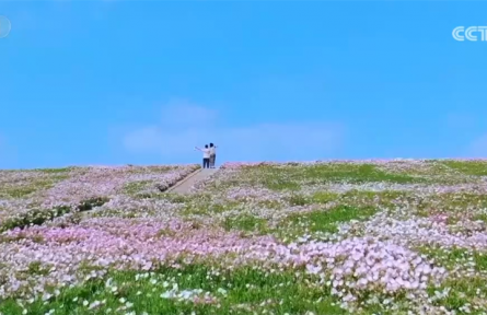 農(nóng)業(yè)農(nóng)村部推出“美麗鄉(xiāng)村游”60條精品線路 有何“亮點”？