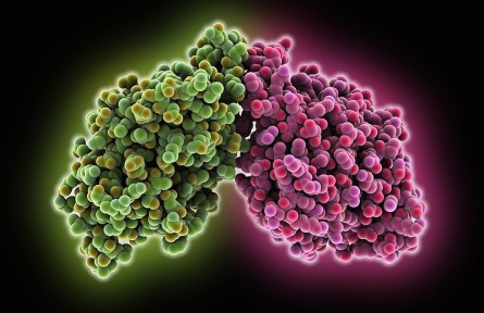 科技名詞|糖酵解 glycolysis