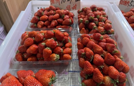 辟謠|最近不能吃草莓，因為有“草莓瘟”？