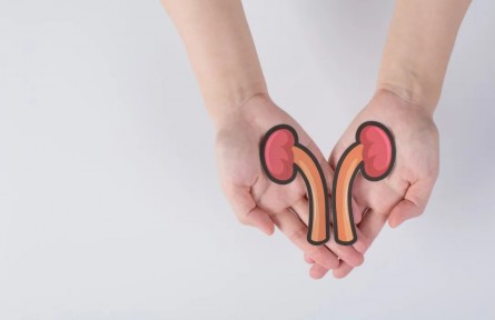 辟謠|一喝水就上廁所說明腎不好？吃黑色食物能養(yǎng)腎？來看真相